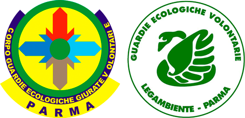 Logo CGEV GELA
